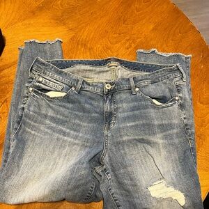 Torrid boyfriend cropped